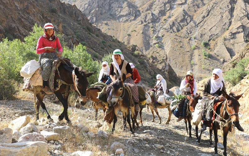 باكوری كوردستان: ژیان له‌ گوندێكی وان جوانییه‌كانی له‌ده‌ست نه‌داوه‌