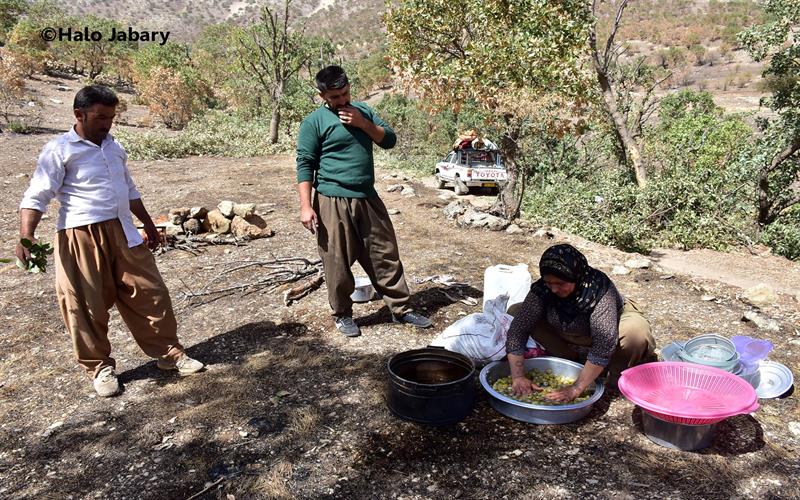 چۆنێتی ئامادەکردنی خواردنی سروشتی (شۆكه‌) لە بناری چیای كوڕه‌ كاژاو