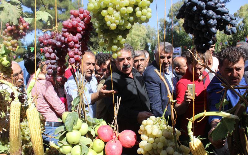 ھەڵەبجە.. کردنەوەی پێشانگای بەربوومی کشتوکاڵی 