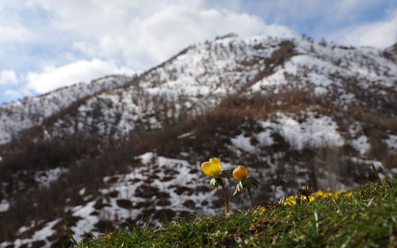 دەرکەوتنی بەهار لە بەدلیسی باکوری کوردستان